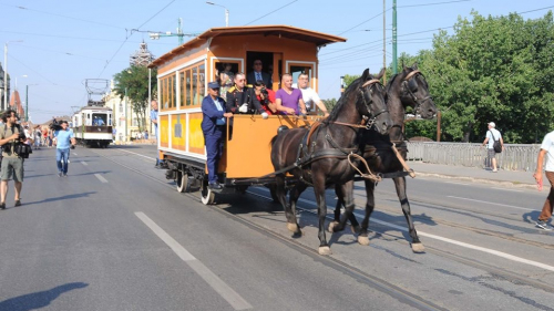 Muzeul de Transport Public Corneliu Miklosi - Amintirea tramvaiului tras de cai 
